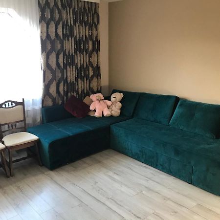 Садиба Червона Калина Private Estate Chervona Kalyna 亚列姆切 外观 照片